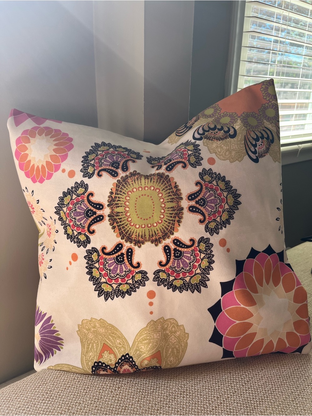 Faux Suede Retro Floral FRUIT
PUNCH Pillow Cover 21” Sq